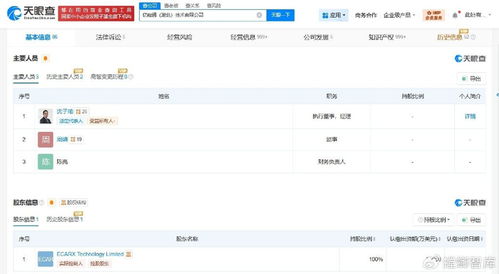 億咖通湖北公司增資至5.5億美元，信息系統(tǒng)集成服務(wù)迎來(lái)新發(fā)展